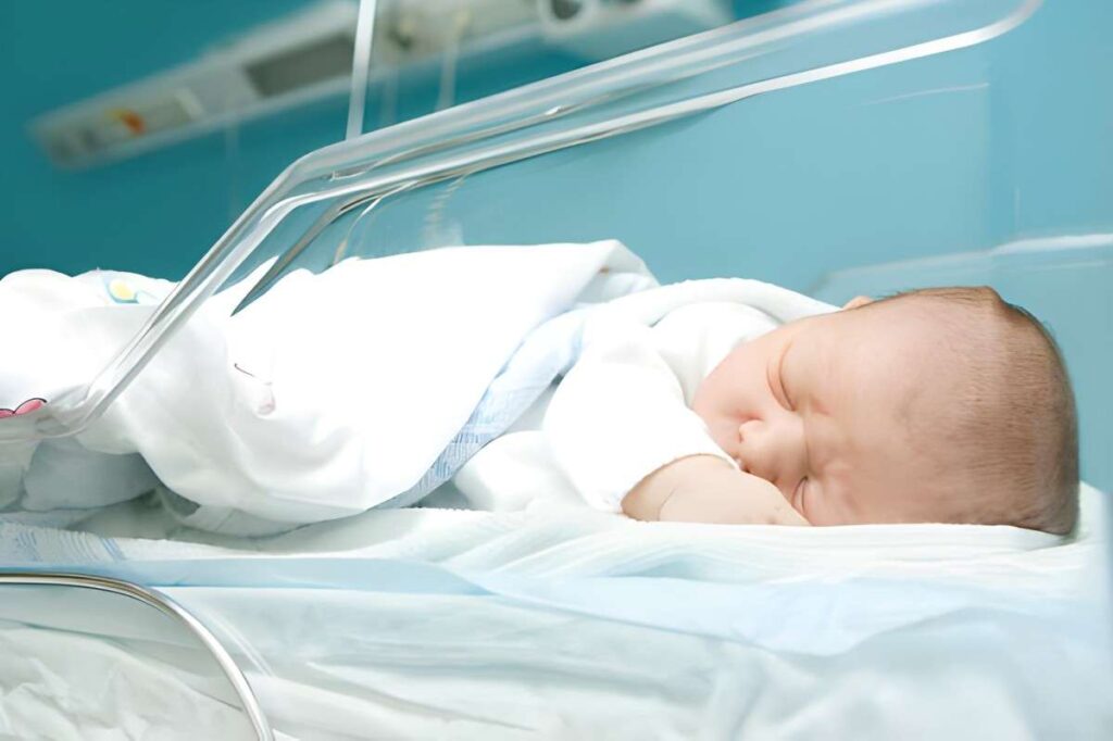 1 Day Old Newborn Not Eating Causes, Concerns, and Practical Guidance for New Parents