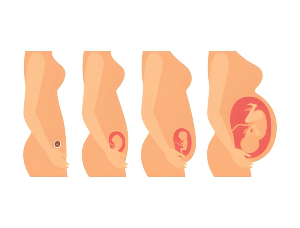 1 Week Early Pregnancy Stomach Changes What to Expect