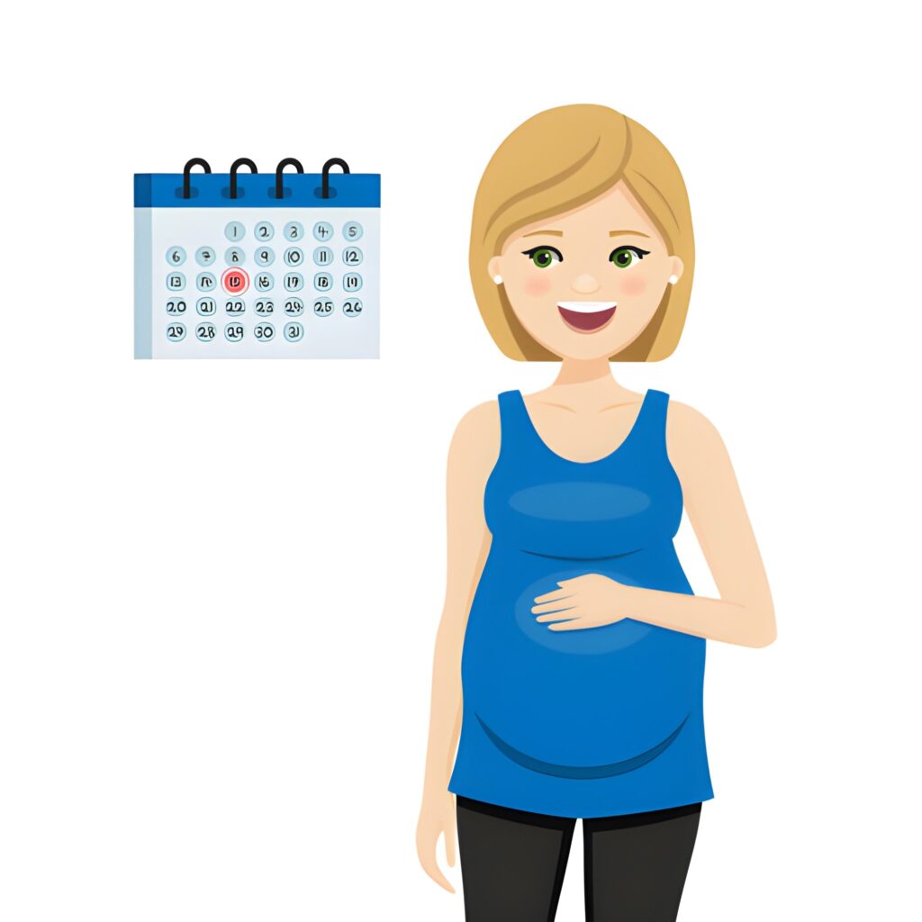 1 and a Half Month Pregnancy