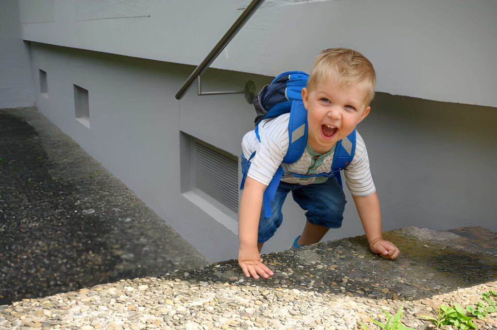 3 Steps Early Learning