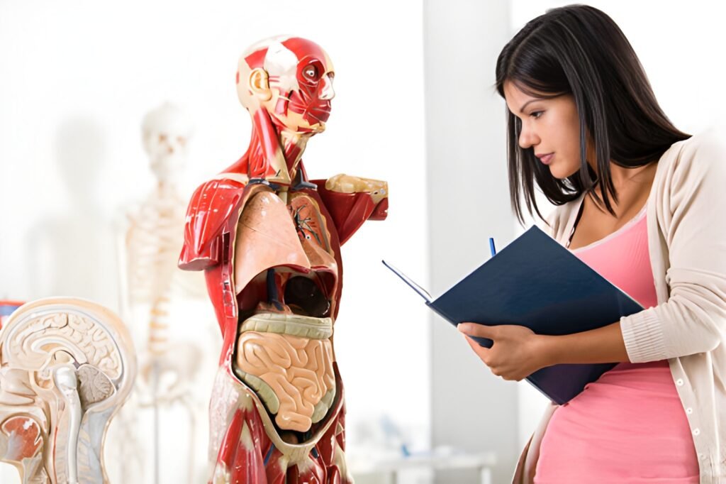 Effective Study Tips for Anatomy and Physiology