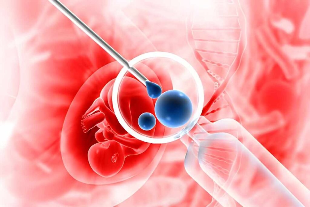 15 Days Post Embryo Transfer
