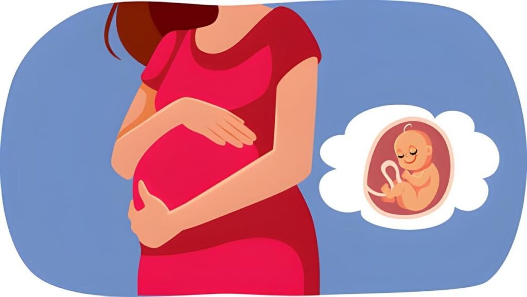19 Weeks Pregnancy The Visible Bump and Rapid Fetal Milestones