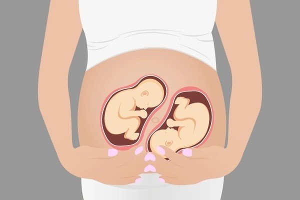 20 Weeks Twin Pregnancy Decoding the Belly Size, Growth, and Specialized Self-Care