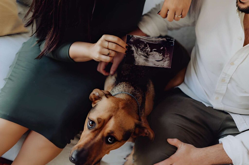 3 Week Dog Pregnancy Ultrasound Understanding the Earliest Diagnostic Window