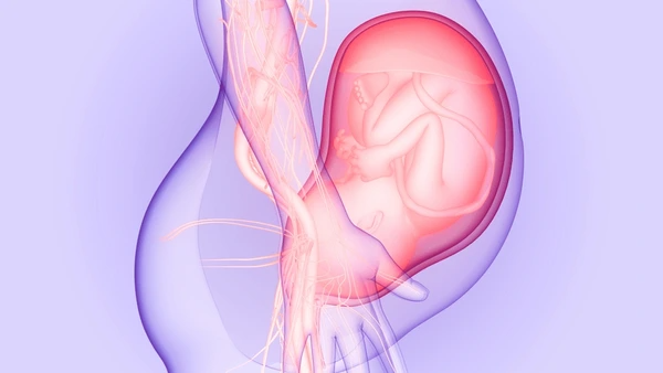 3 Weeks Pregnant Conception, Implantation, and the Microscopic Start of Life