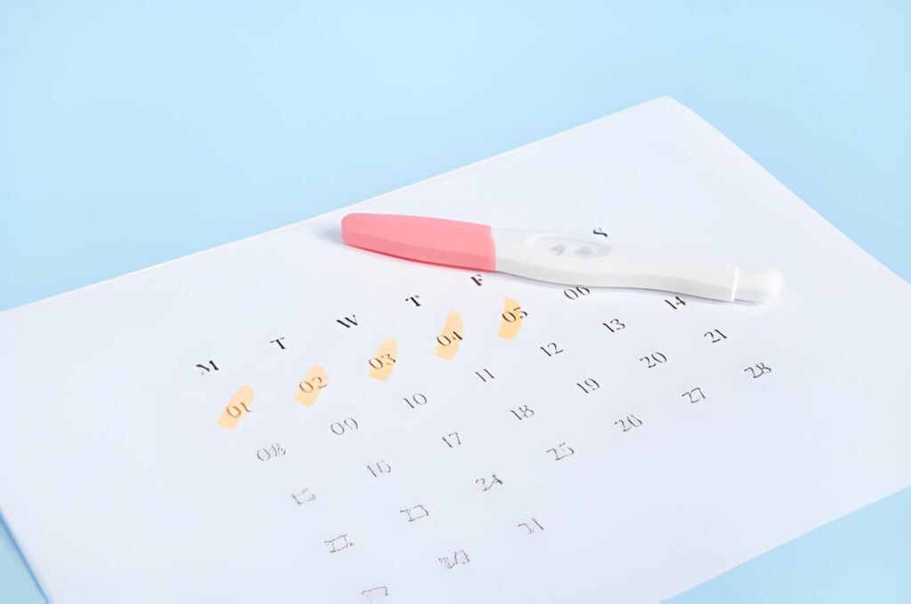 32-Day Cycle and Negative Pregnancy Test Interpreting Early Results