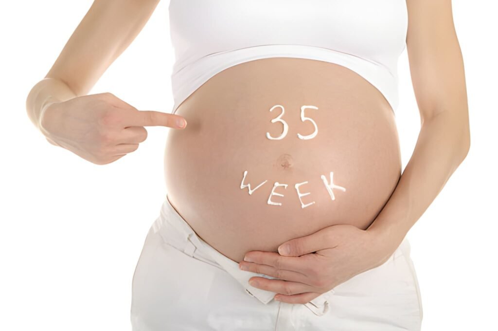 35 Weeks Pregnant Clinical Milestones and Final Labor Readiness