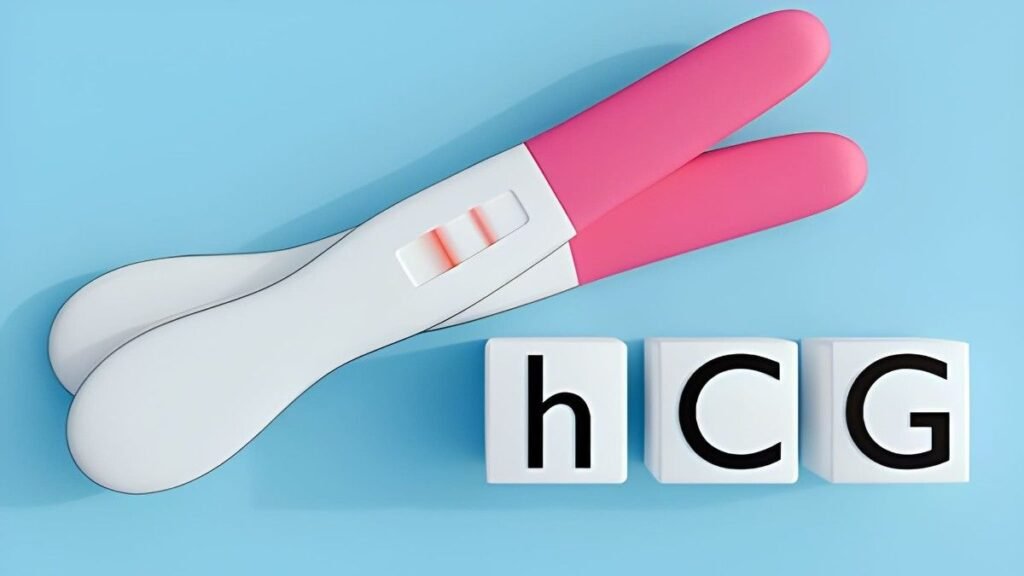 4 DPO Positive Pregnancy Test The Clinical Reality of Exogenous hCG