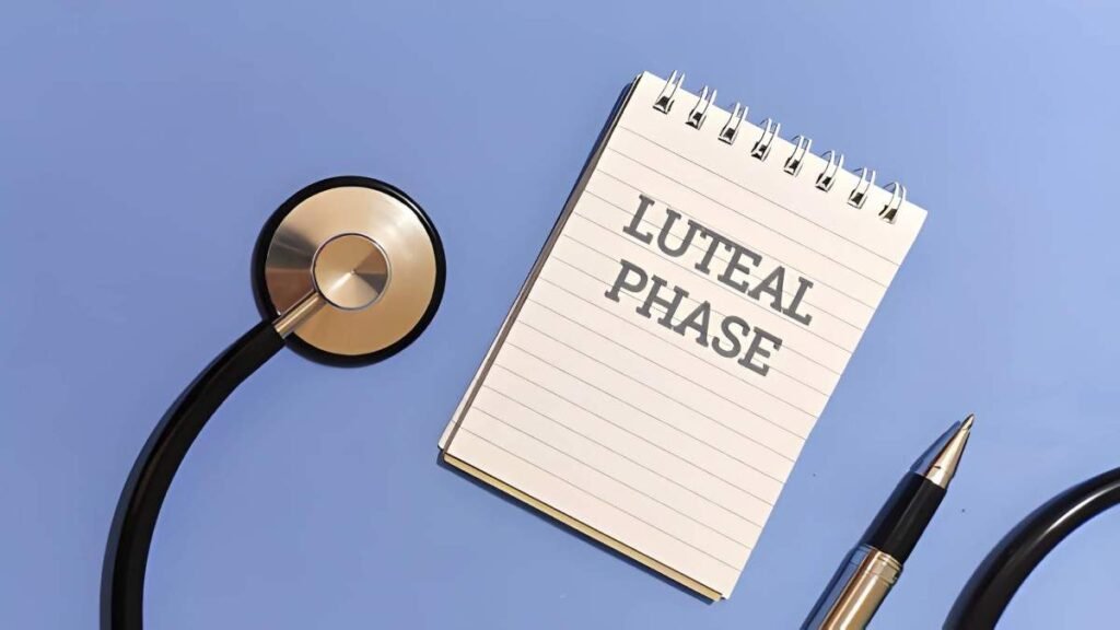 4 DPO Symptoms Decoding the Progesterone Effect in the Early Luteal Phase