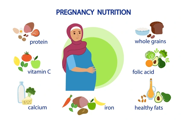 4 to 6 Month Pregnancy Diet Chart Essential Nutrition for the Second Trimester