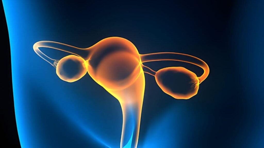 5 cm Ovarian Cyst During Pregnancy Monitoring, Risks, and Specialized Management