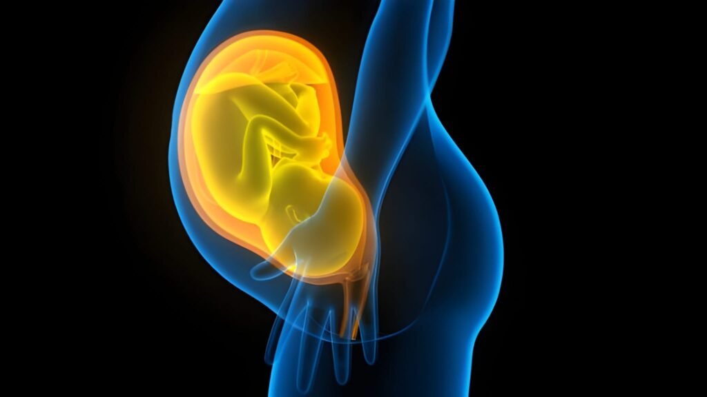 5th Month Pregnancy Fetal Movement and the Anatomy Scan (Weeks 17-20)