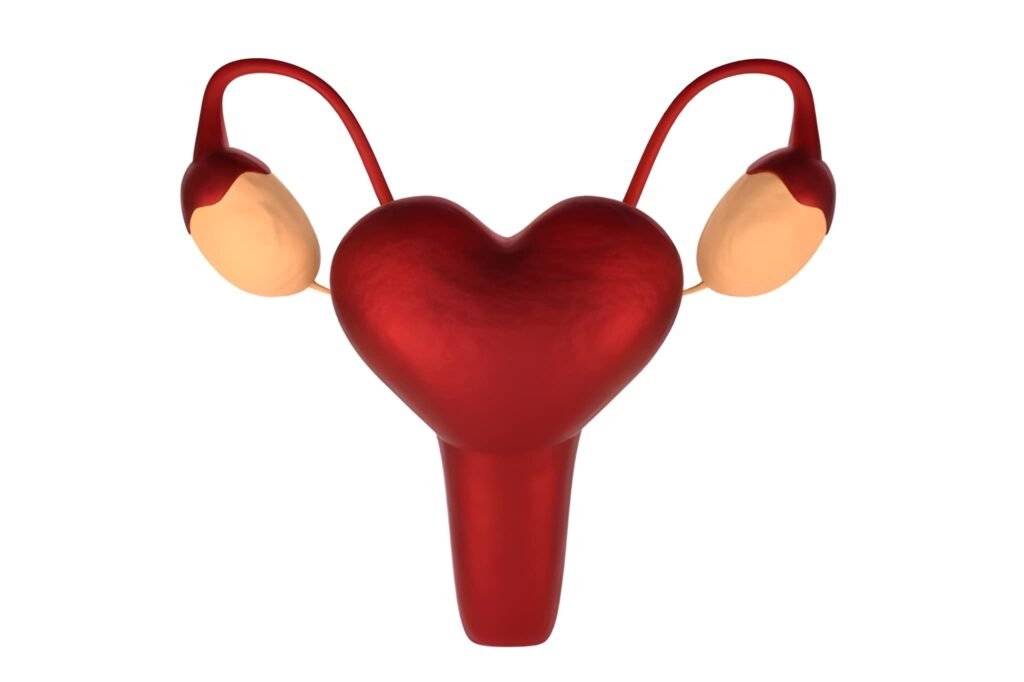 6 Weeks and 3 Days Pregnancy The First Heartbeat and Peak Embryonic Development
