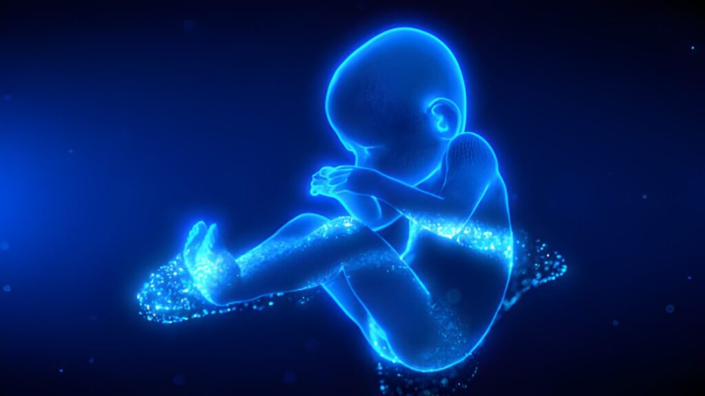 Advanced Fetal Imaging Understanding 3D and 4D Ultrasounds in Pregnancy