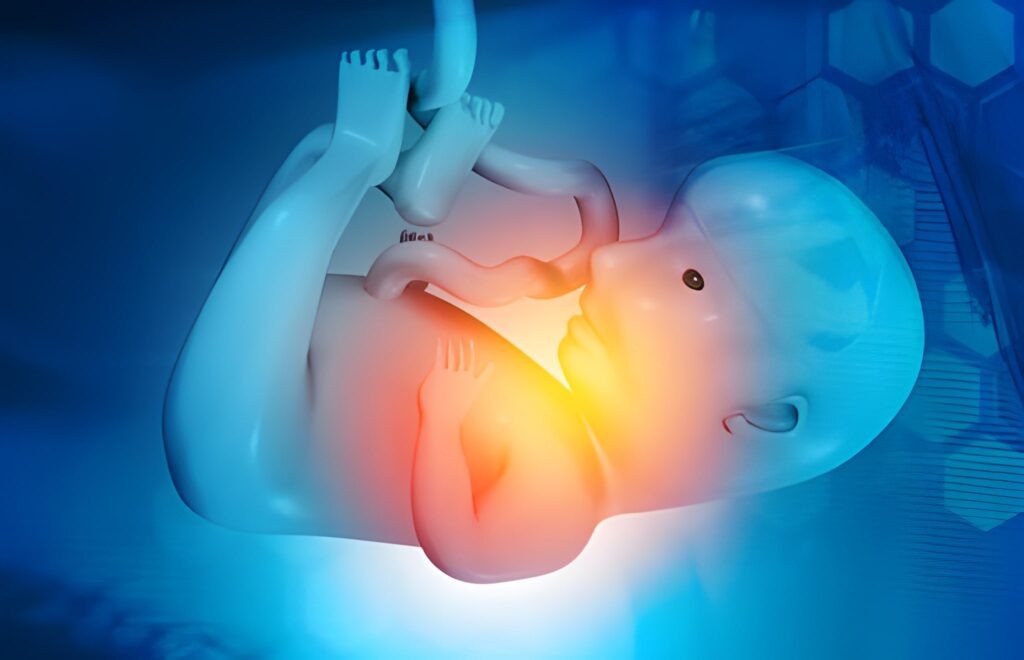 Beyond the Murmur Decoding Neonatal Heart Anomalies