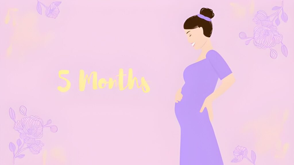 Five Months Pregnant The Halfway Milestone and Fetal Specialization