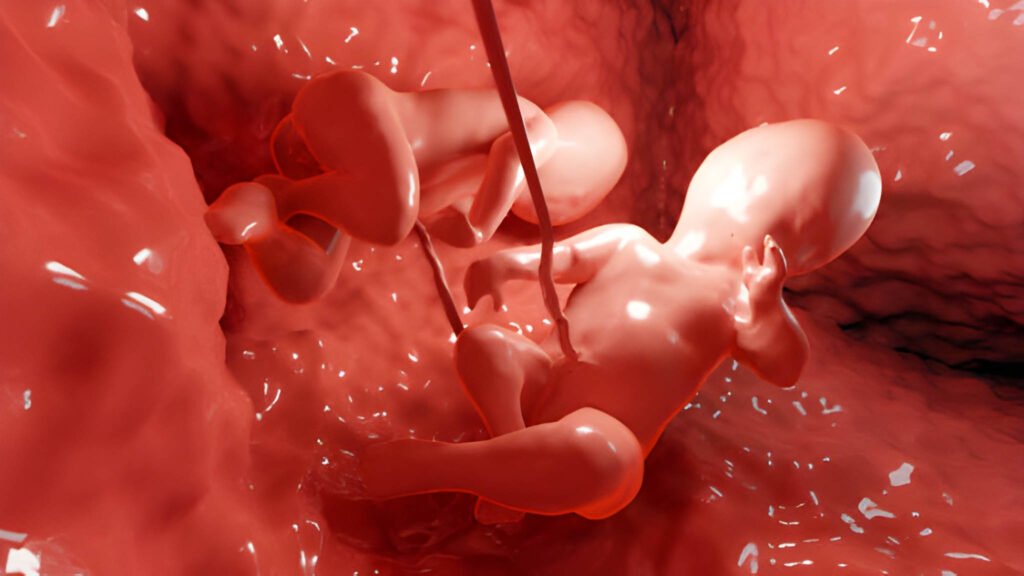 Fragile Pathways Managing Neonatal Blood Clotting Disorders