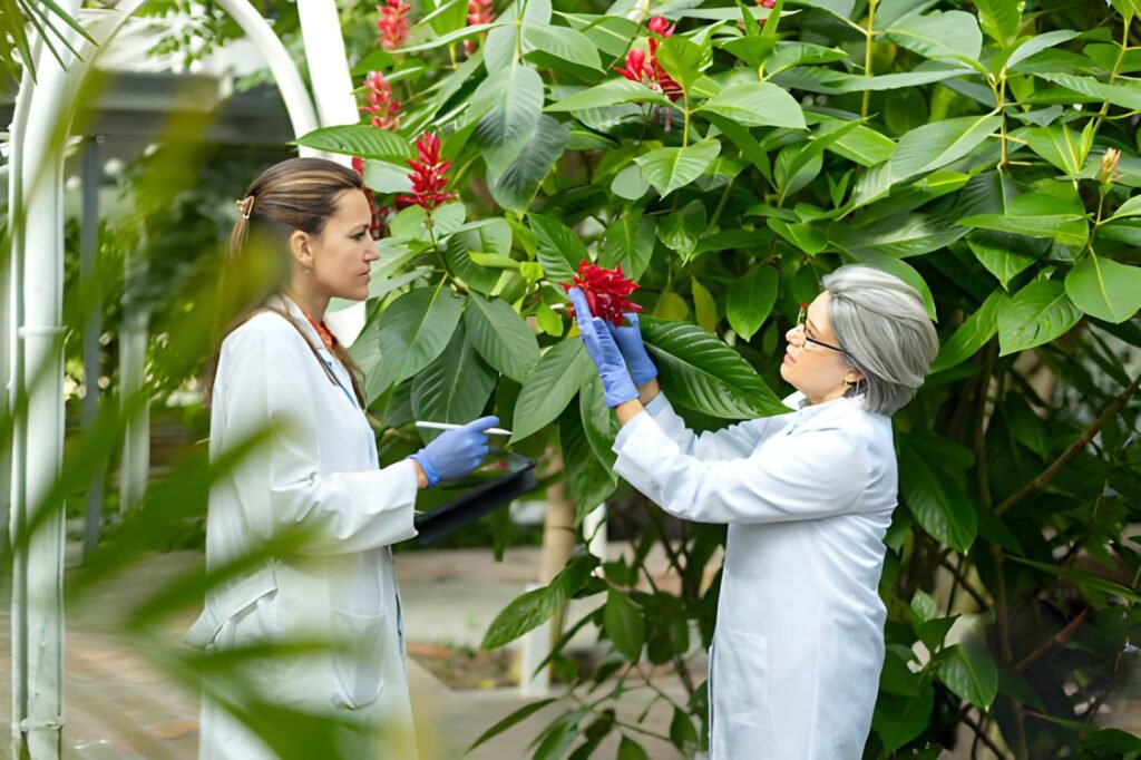 Nature's Pharmacy Navigating Botanical Safety During Lactation