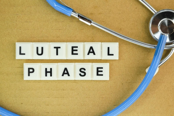 Progesterone Effect in the Early Luteal Phase