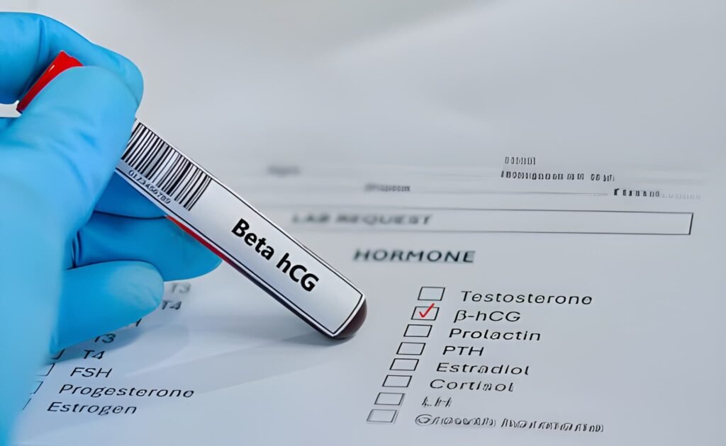 The 14 DPO Test Navigating Accuracy, hCG Levels, and the Two-Week Wait