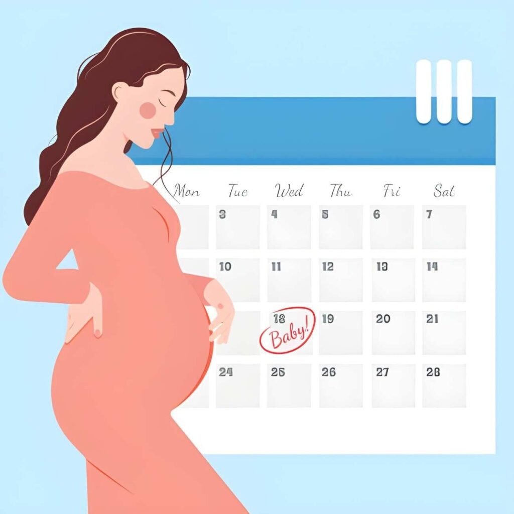 The 16-Week Pregnancy Appointment Key Milestones and Preparation