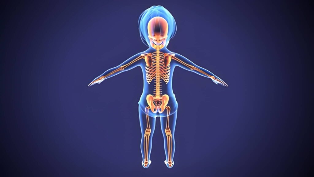 The Architecture of Infancy Understanding the Newborn Skeleton