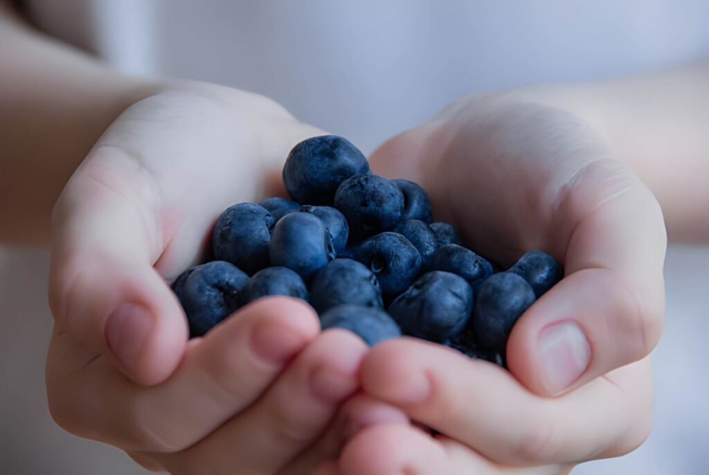 The Blue Superfood Navigating Blueberry Consumption While Breastfeeding