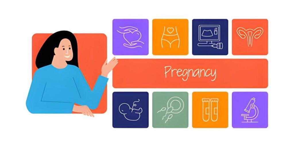 The First Signs of Pregnancy Decoding Early Indicators and Hormonal Shifts