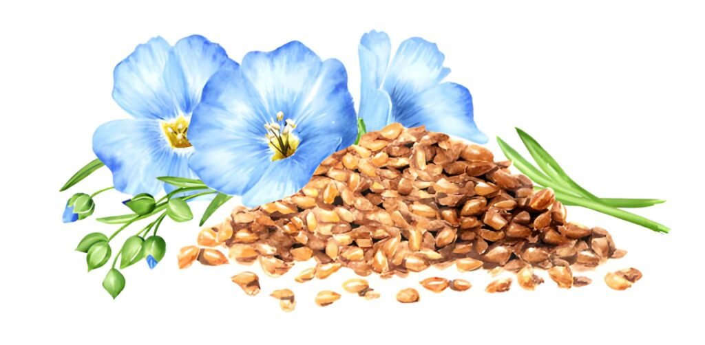 The Flaxen Foundation A Master Guide to Linseed Dynamics in Lactation