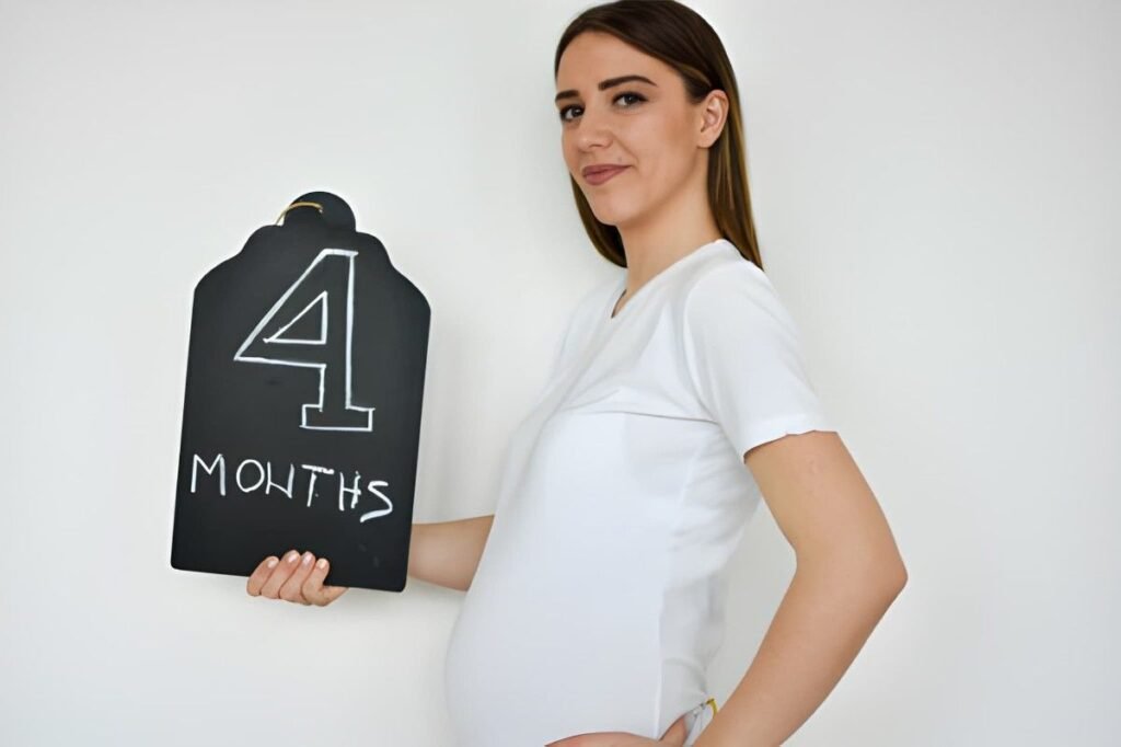 The Fourth Month of Pregnancy Growth, Energy, and Connection (Weeks 14–17)