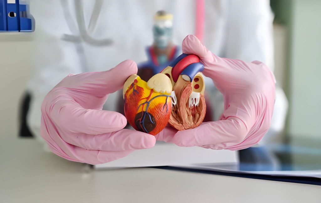 The Heart of the Matter Understanding the Four Anatomical Abnormalities of Tetralogy of Fallot