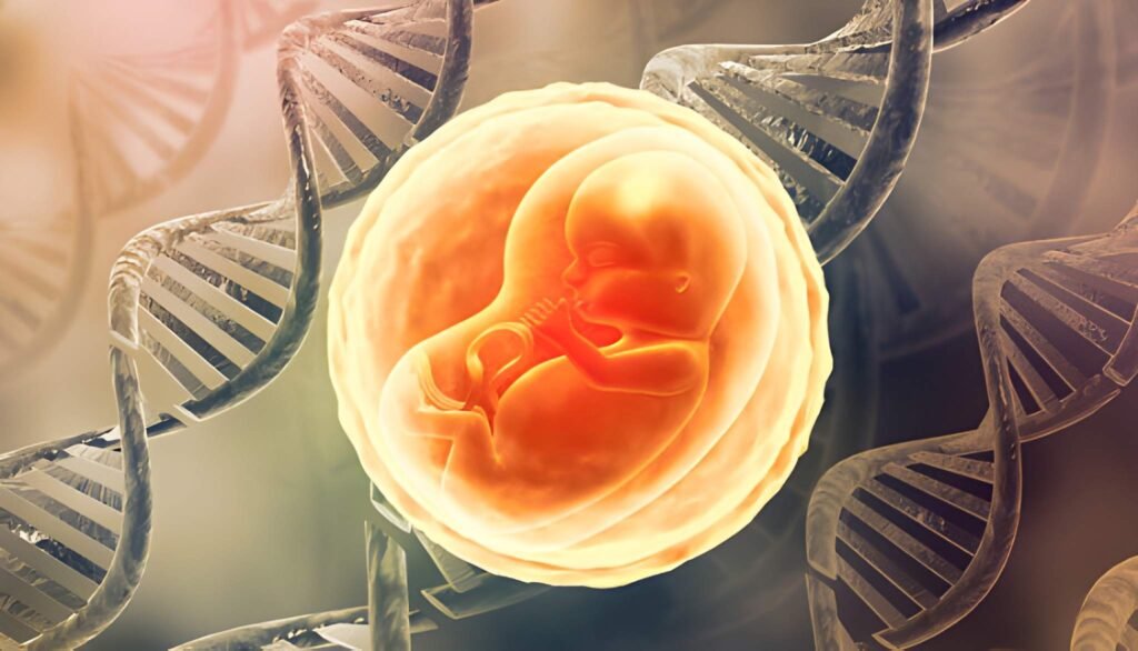 The Immunological Shield How Fetuses and Newborns Navigate a World of Antigens