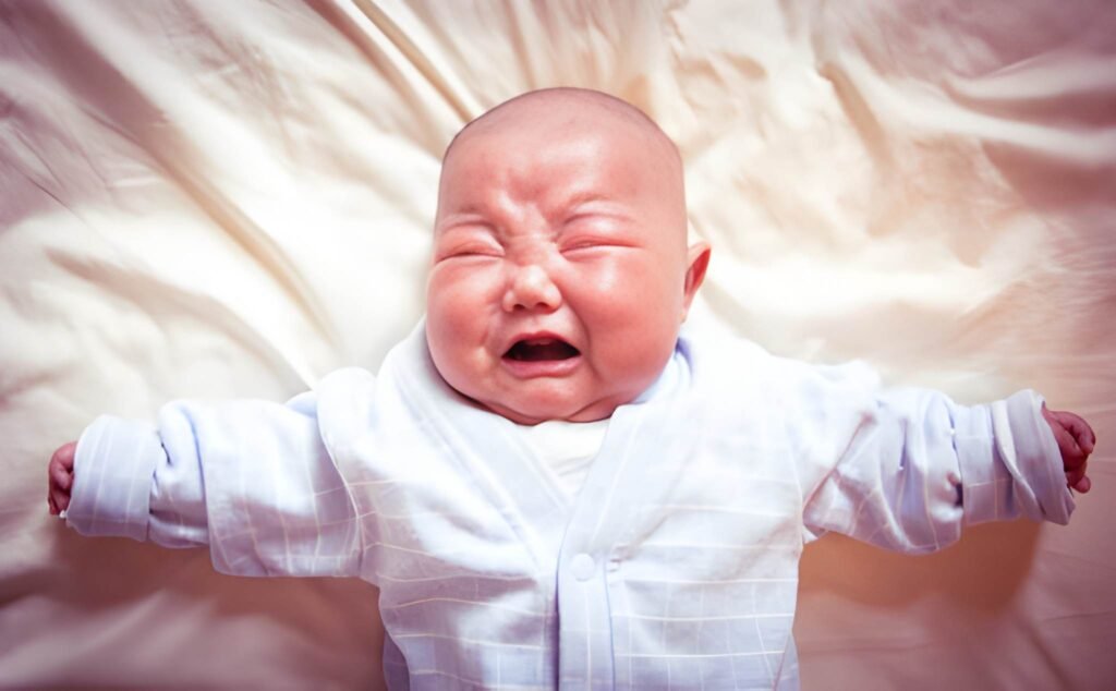The Intense Newborn Understanding High-Need Temperament