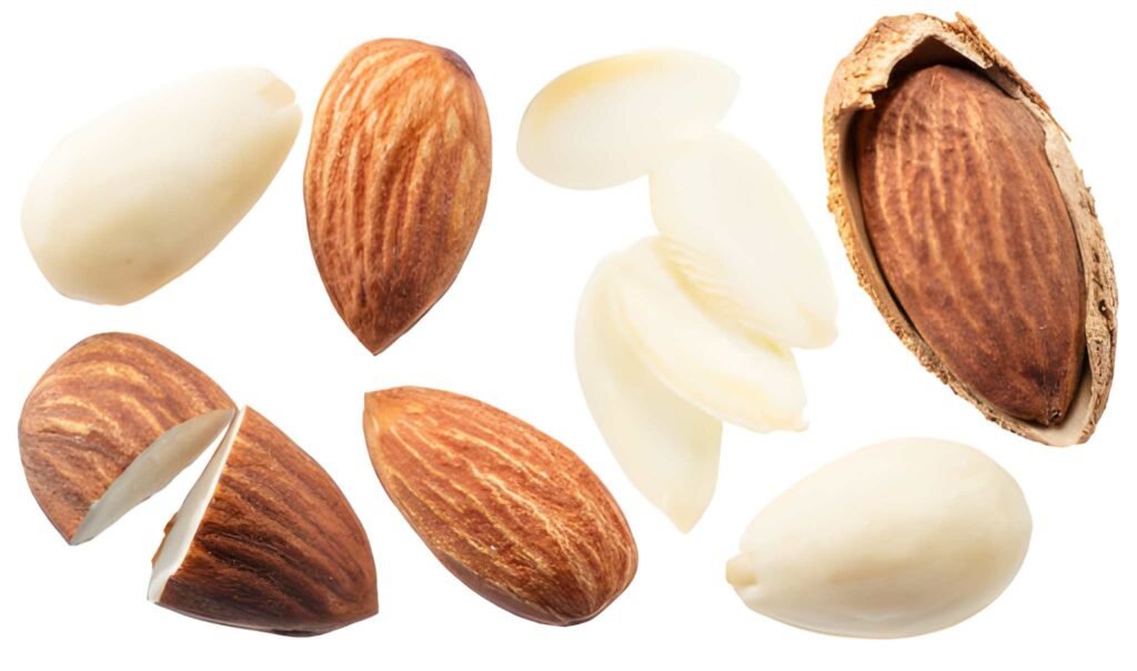 The Nutritive Power of Almonds in Lactation A Clinical Analysis of Safety and Benefits
