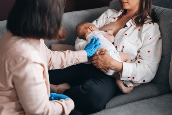 The Plant-Based Lactation Engine