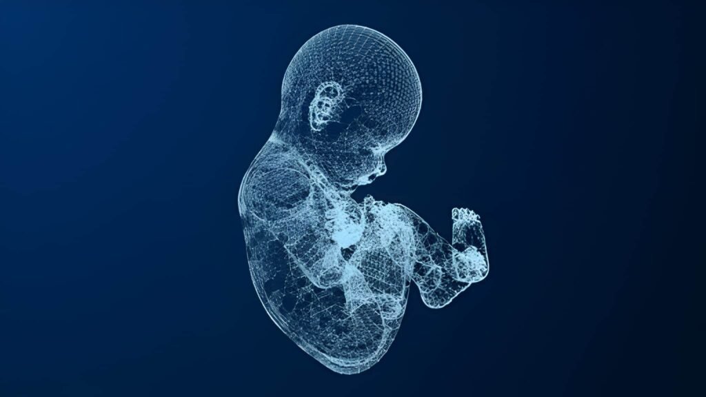 The Ponderal Blueprint