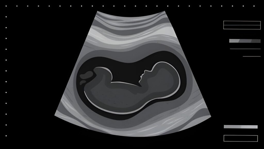 The Second Ultrasound The Comprehensive Fetal Anatomy Scan