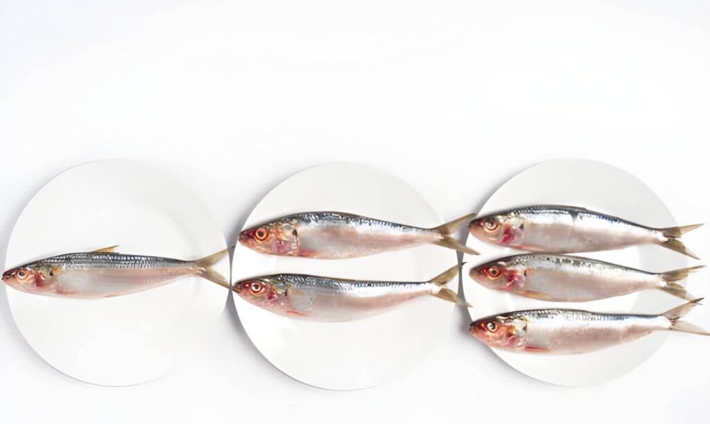 The Silver Standard Sardines and the Lactation Journey