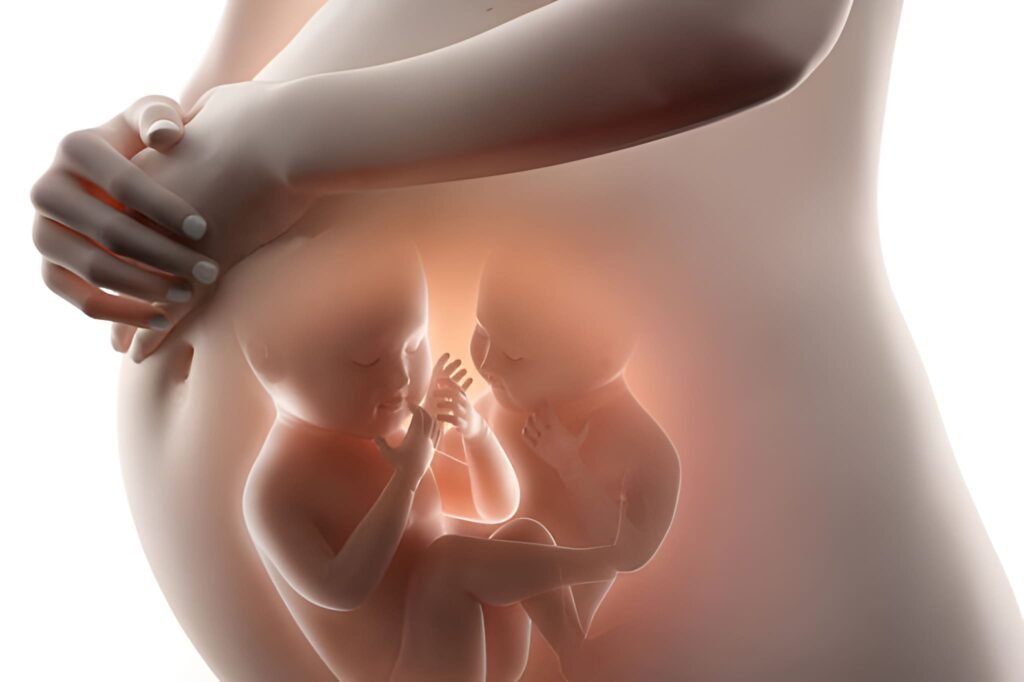 The Sixth Month of Twin Pregnancy Viability, Doubled Demands, and Specialized Monitoring