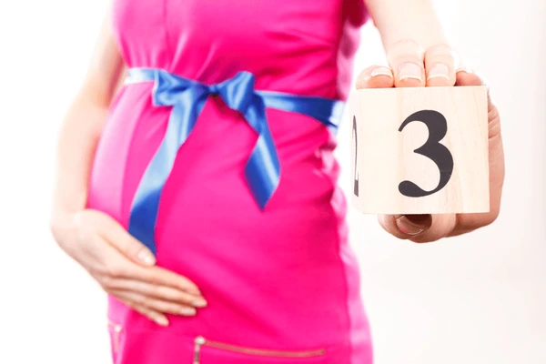 The Third Month of Pregnancy Finalizing Formation and Transitioning to Stability (Weeks 9-13)