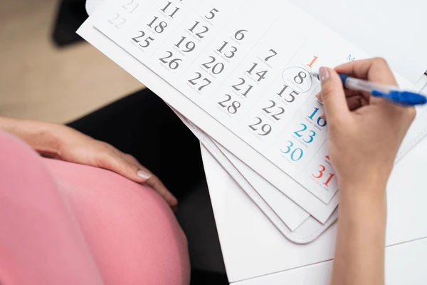The Third Month of Pregnancy Finalizing the Foundation (Weeks 9–13)