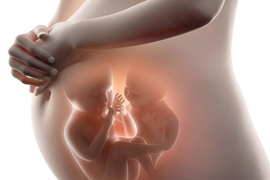Twin Pregnancy