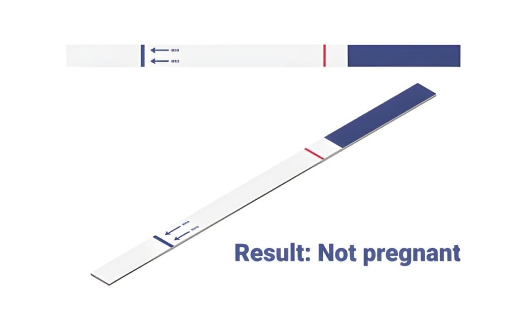 Two Months Missed Period, Negative Test Finding the Root Cause