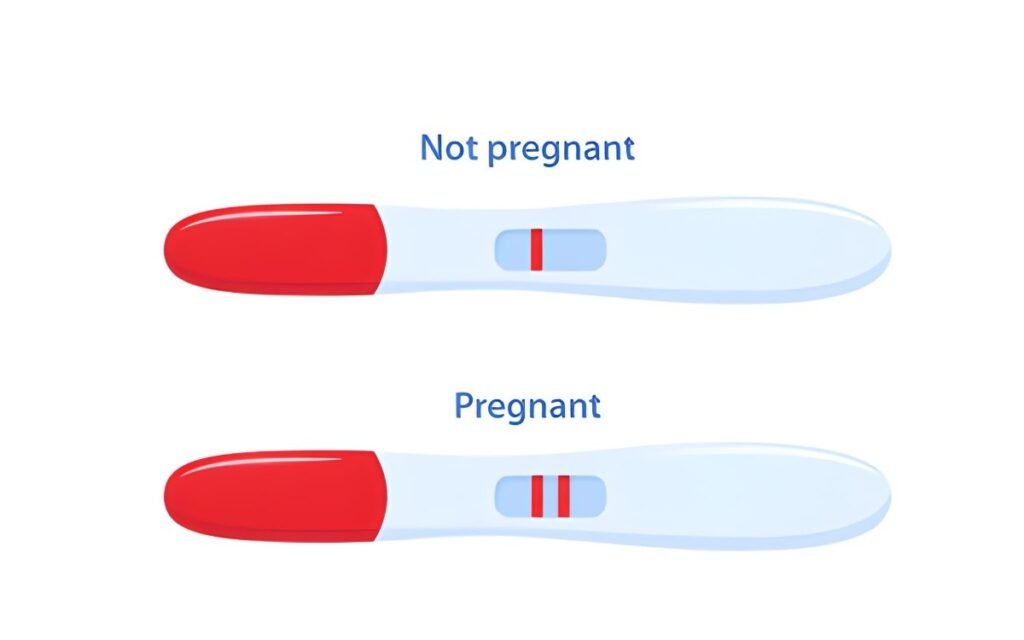Two Negative, One Positive Decoding Conflicting Home Pregnancy Test Results