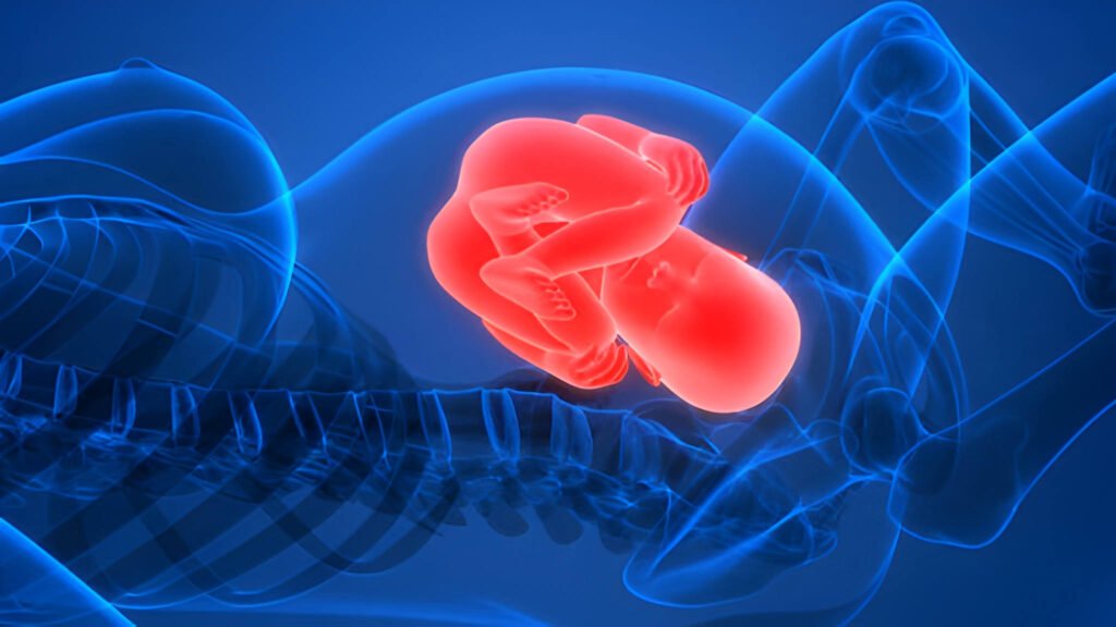Week 9 of Pregnancy The Transition to Fetus and First Trimester Navigation