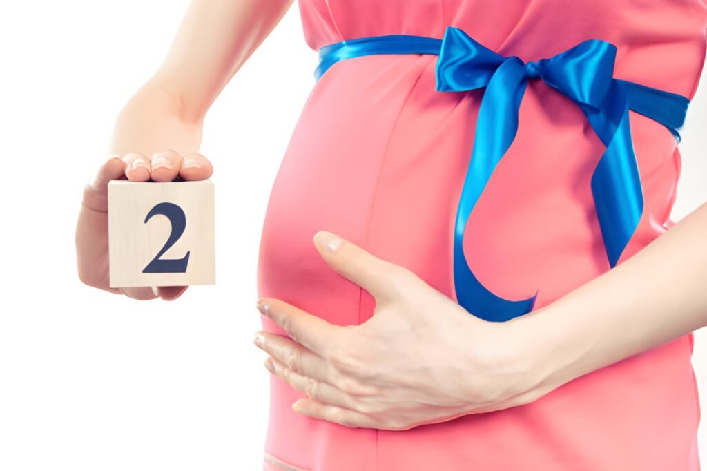 The Second Month: Navigating Organogenesis and the Peak of Early Symptoms